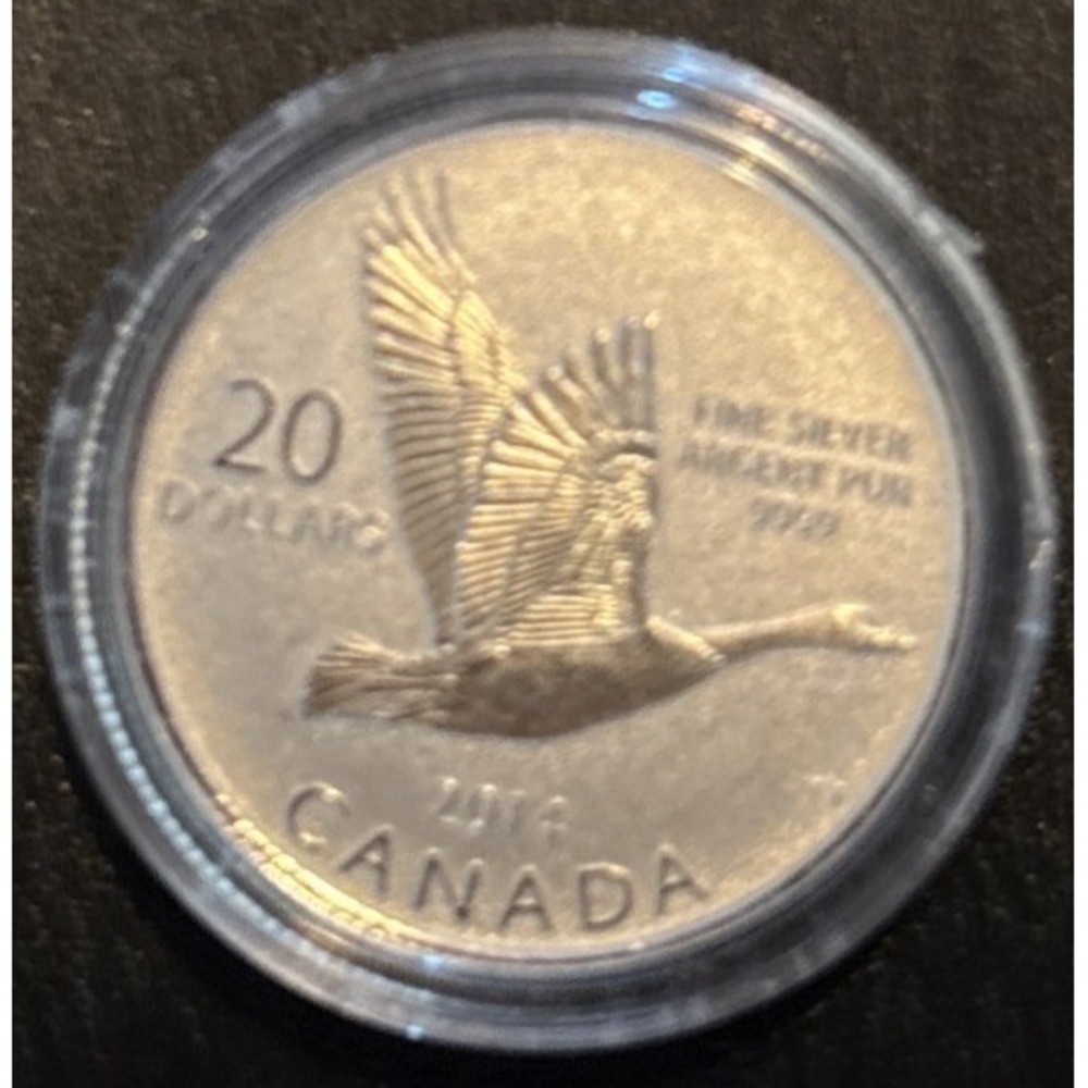 2014 Canada $20 Fine Silver Coin – Canada Goose – 1/4 Troy Ounce .9999 Fine